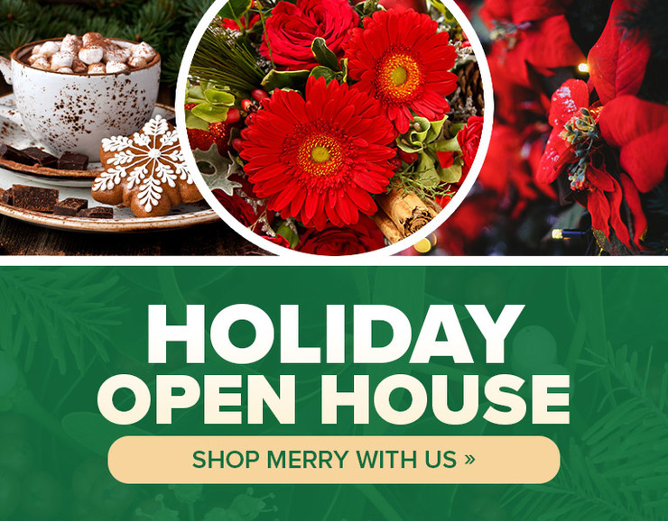 Holiday Open House is Nov 15th from 9-4