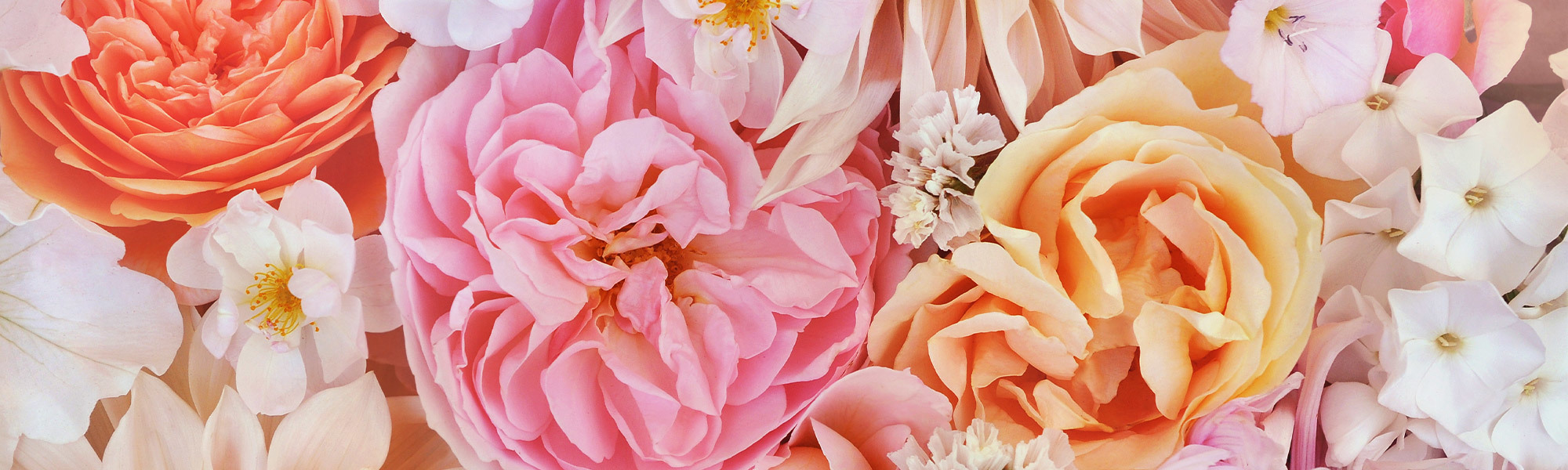 Swenson and Silacci Flowers Flower Delivery Salinas, CA Florist