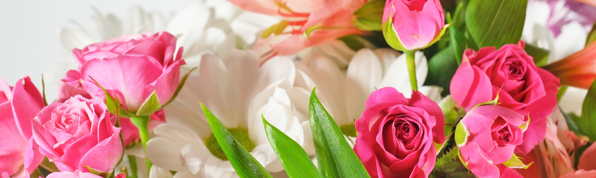 Swenson & Silacci Flowers Salinas Ca Best Flower Site