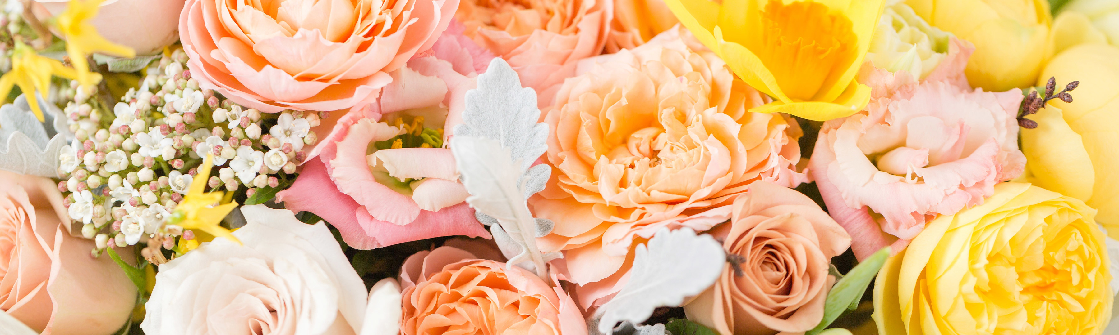 Swenson and Silacci Flowers Flower Delivery Salinas, CA Florist