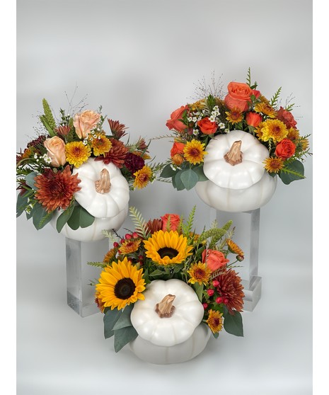 Enchanted Harvest