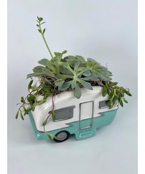 Cool Camper Succulent Garden