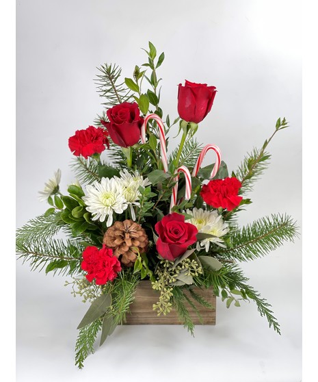 Candy Cane Arrangement