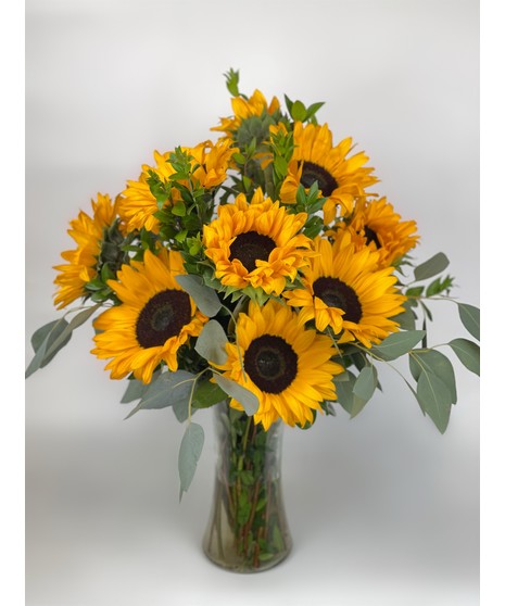 Spectacular Sunflowers