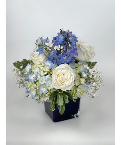 Captivating Cobalt
