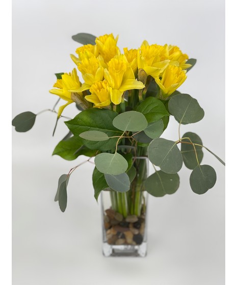 Delightful Daffodils