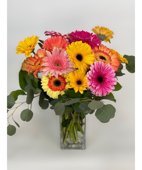 Just Because Flowers