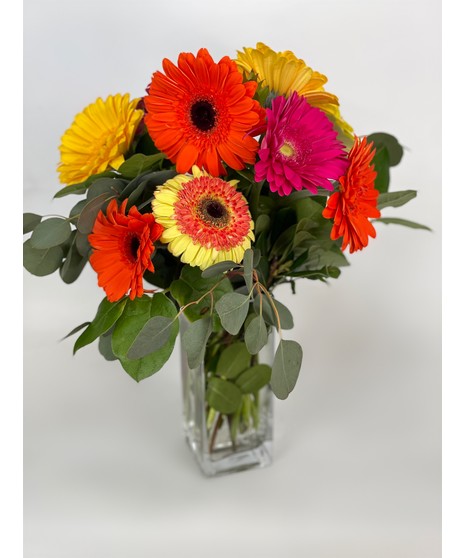 Just Because Flowers