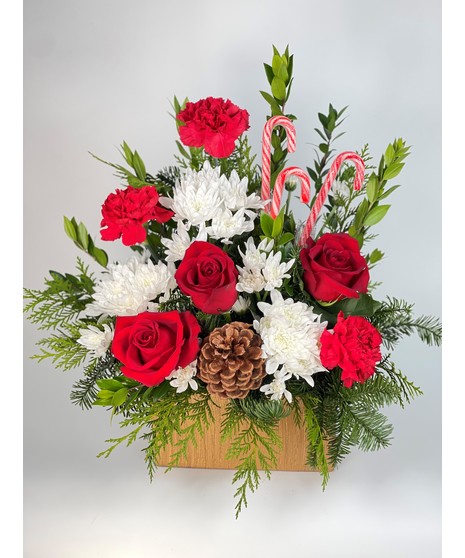 Candy Cane Arrangement