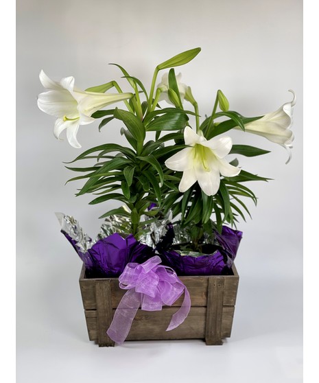 Easter Lily - DOUBLE