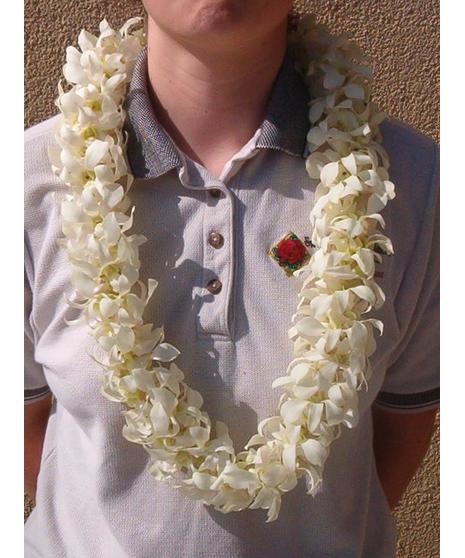 white orchid lei