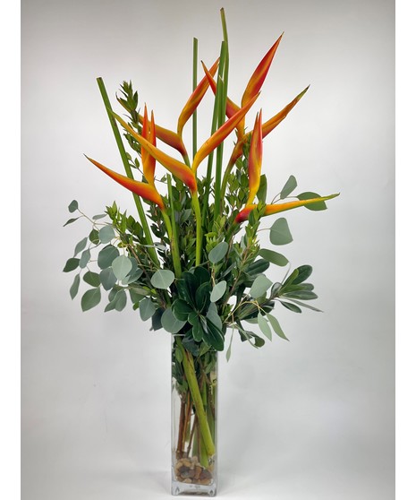 Heliconia Vase