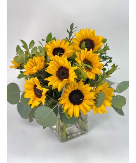 sunflower arrangement in gorgeous vase
