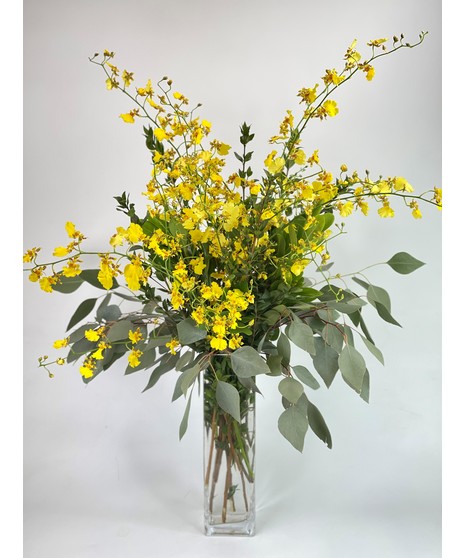 Oncidium Orchid Vase